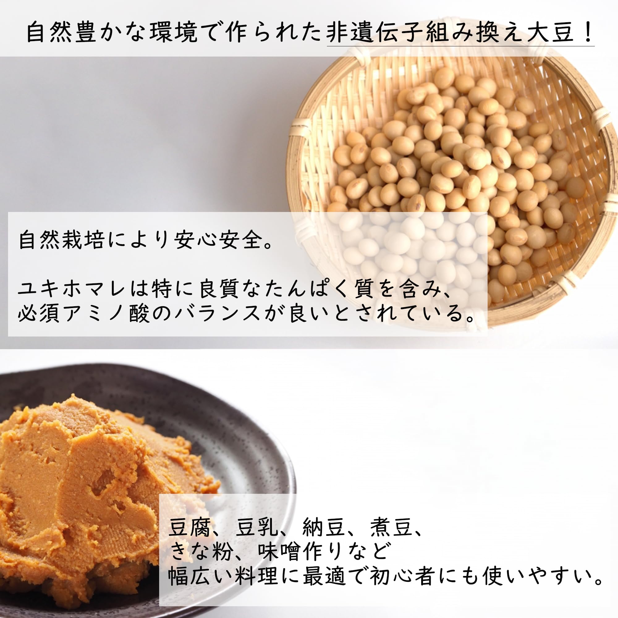専用品 大豆(ゆきほまれ) 十勝産 10kg+1割増量 初回限定お1人様1袋限り】ユキホマレ大豆 500g｜北海道 渡部農場 渡部